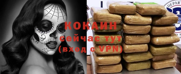 шишки Арсеньев