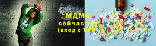 шишки Арсеньев