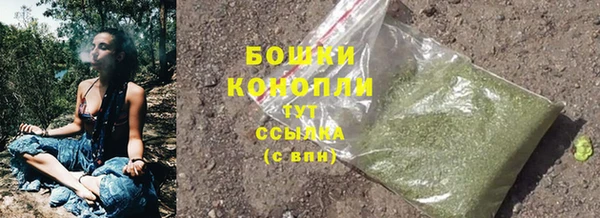 шишки Арсеньев