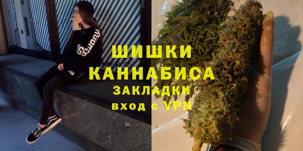 шишки Арсеньев