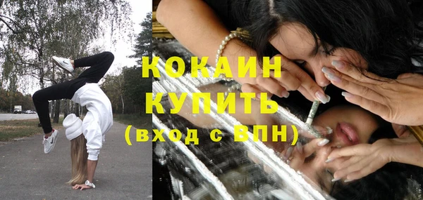 шишки Арсеньев