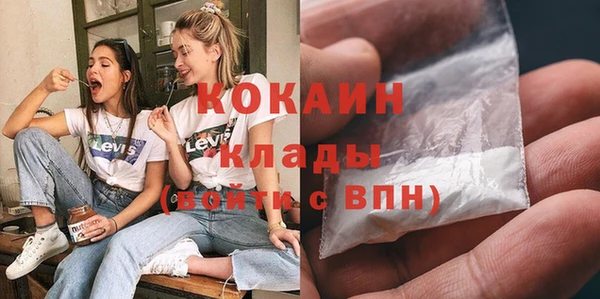 шишки Арсеньев
