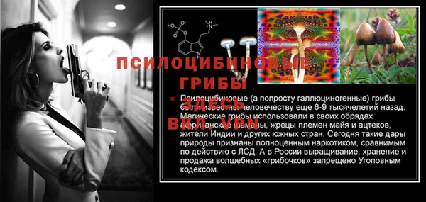 apvp Баксан