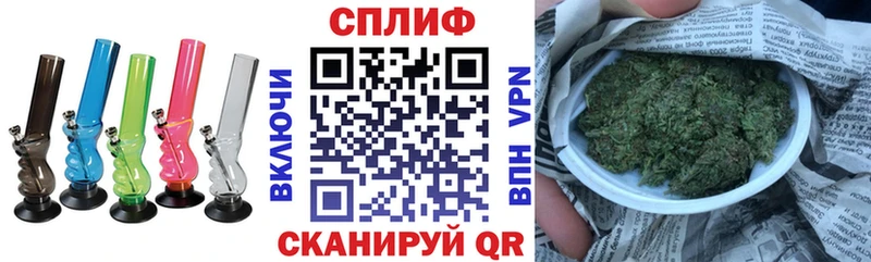 где купить наркоту  Подпорожье  Бошки марихуана ГИДРОПОН 